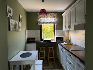 a kitchen with green walls and white cabinets and a window at Agroturystyka Ostoja Wilków I in Wilków