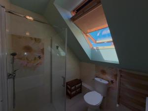 a bathroom with a shower and a toilet with a skylight at Agroturystyka Ostoja Wilków I in Wilków +54 photos