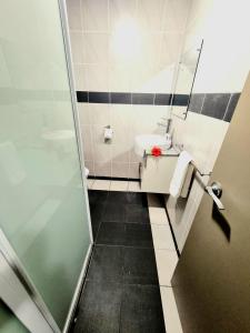 a bathroom with a sink and a mirror at Red Palm Hotel in Suva +9 photos