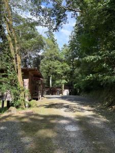 a road leading to a cabin in the woods at YAMAYA BASE 1 in Ōkawamochi +19 photos