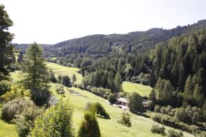 Příroda nedaleko aparthotelu