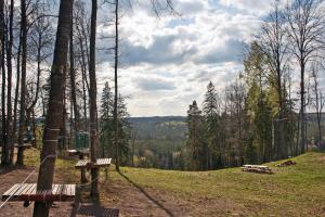 a bench sitting on top of a hill in the woods at Kempings Ozolkalns in Cēsis