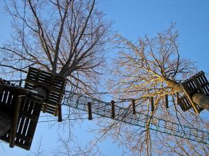 two traffic lights in front of a tree at Kempings Ozolkalns in Cēsis
