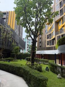 a park with a tree in the middle of buildings at The Base Central Phuket-a modern comfort condo-sso in Ban Rangeng