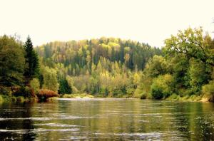 a view of a river with trees in the background at Kempings Ozolkalns in Cēsis
