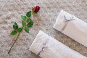Fotografie z fotogalerie ubytování Hotel Bacco v destinaci Ascea