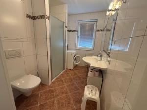 a bathroom with a toilet and a sink and a shower at My Adventure Appartements by Schladmingurlaub - 150 Meter zur Gondel in Schladming +54 photos