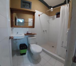 a bathroom with a toilet and a sink and a mirror at Hostel New Brothers in Panajachel