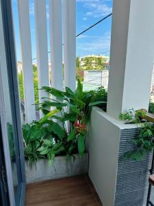 a balcony with green plants and a white railing at Phố Homestay Phan Thiết in Phan Thiet