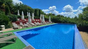 ein Swimmingpool mit Liegestühlen und Sonnenschirmen in der Unterkunft Grace Villa in Codru