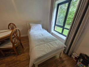 a small bedroom with a bed and a window at Spacious Bright Modern Apt With Garden in Dublin