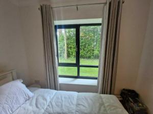a bedroom with a bed and a large window at Spacious Bright Modern Apt With Garden in Dublin +5 photos