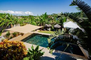 an overhead view of a swimming pool with palm trees at Résidence Swiss Nosy be in Nosy Be