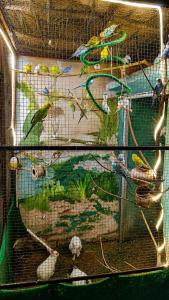a cage with a painting of birds in it at Rajputana cafe and restaurant in Dausa +4 photos