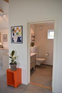 a bathroom with a toilet and a potted plant at Viking Surf & Stay in Klitmøller