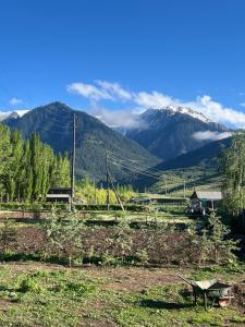 a field with a view of a mountain at Ak-Suu Eco House in Teploklyuchinskoye