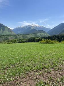 a field of grass with mountains in the background at Ak-Suu Eco House in Teploklyuchinskoye +2 photos