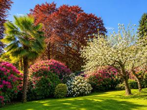 a garden with pink and white flowers and trees at Corte Villa Donati in Cissano