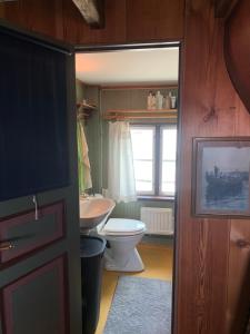 a bathroom with a toilet and a sink at Stuga med havsutsikt in Strömstad