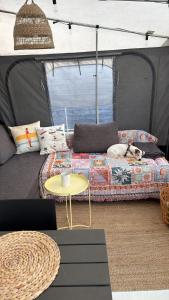 a dog laying on a bed in a tent at Przyczepa pod palemką in Jastarnia