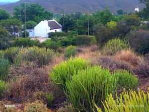 a field of grass with a white house in the background at Old Corner Cottage in McGregor