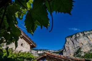 a view of the mountains from behind a tree at Gîte L'Echappée en Vercors - Observatoire des étoiles in Choranche +37 photos