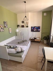 a bedroom with a bed and a tv in it at Le Cocon Bressan hyper centre & lumineux in Bourg-en-Bresse