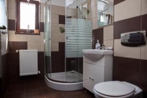 a bathroom with a shower and a toilet and a sink at Royal Hotel in Drăguş