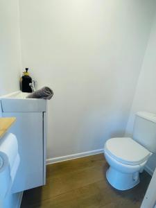 a bathroom with a white toilet and a sink at Mobilheim Luna - Výrovická přehrada in Výrovice