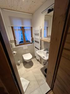 a bathroom with a toilet and a sink at Appart Alte Post in Partenen +18 photos