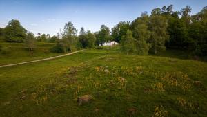 a grassy field with a house in the distance at Henrys utanför Ullared in Ullared