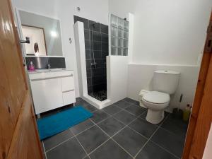 a bathroom with a toilet and a shower at Cap-Azul in Porto Novo +45 photos