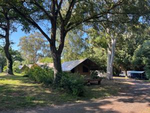 a cabin in a park with a tree and a bench at Camping Onlycamp les etangs in La Richardais