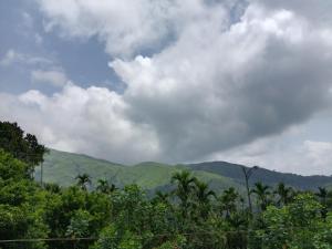 a view of auliculiculiculiculiculiculiculiculiculiculiculic at Ragikana homestsy in Kalasa