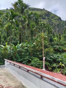 a view from the roof of a house with palm trees at Ragikana homestsy in Kalasa