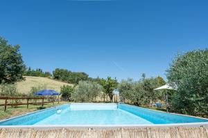 a large swimming pool in a yard with trees at Casa Vacanze Mongili - Il Moro in Chiusi