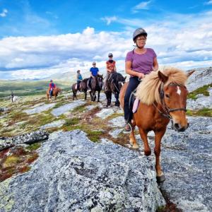 a group of people riding horses on a mountain at Spidsbergseter Resort Rondane in Venabygd
