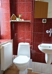 a bathroom with a toilet and a sink at Agroturystyka Dwie Podkowy in Trzebiatów +62 photos