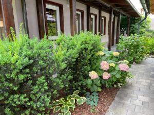a garden of flowers and plants in front of a building at Rooms Ravnik in Bled