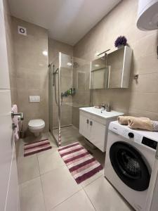 a bathroom with a washing machine and a sink at Apartman Čapljina in Čapljina +29 photos