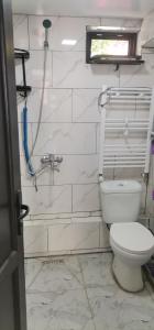 a white bathroom with a toilet and a shower at Hotel in Surami
