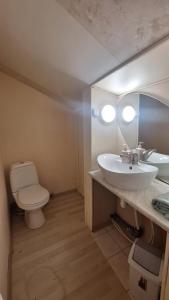 a bathroom with a sink and a toilet and a mirror at Cottages Delloress in Jūrmala +13 photos