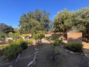 a garden with trees and rocks on a hill at casa serena in Lumio