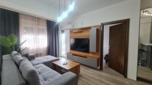 a living room with a couch and a television at Vivo in Jagodina
