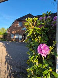 a bush with purple flowers in front of a house at Ferienwohnung zum Zander - Sonniger Weitblick übers Feld in Wester-Ohrstedt
