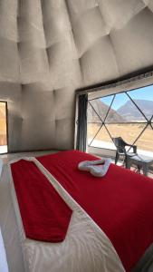 a bedroom with a large bed with a large window at FLORA RUM LUXURY CAMP & Bubble Hotel in Wadi Rum