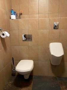 a bathroom with a toilet and a sink at 'Onze Knoerishoeve' in Odiliapeel