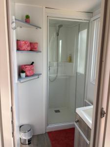 a bathroom with a shower and a white sink at Sweet-Mobilhome21 in Fouesnant