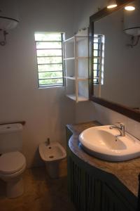 a bathroom with a sink and a toilet and a mirror at Villa Erica giardino in Androadroatra +40 photos