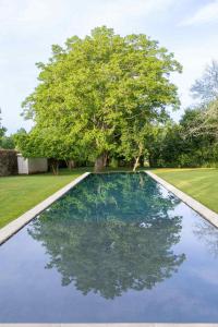 a pool with a tree in the middle of a yard at Carcavelos Manor House by Portugal Active in Vila Verde